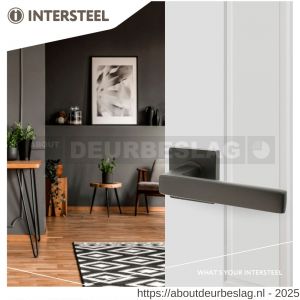 Intersteel Living 1713 deurkruk Hera op rozet verdekt 55x55x10 mm met nokken antraciet grijs - R26009997 - afbeelding 2