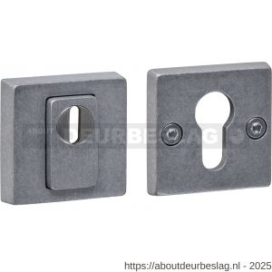 Intersteel 3755 SKG3 veiligheidsrozetten vierkant 54x54x12 mm profielcilindergat met kerntrekbeveiliging RVS getrommeld - R26010858 - afbeelding 1