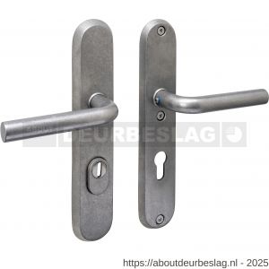Intersteel 3787 SKG3 veiligheidsbeslag ovaal 250x50 mm kruk-kruk Luzern met veerconstructie profielcilindergat 72 mm met kerntrekbeveiliging RVS getrommeld - R26010857 - afbeelding 1