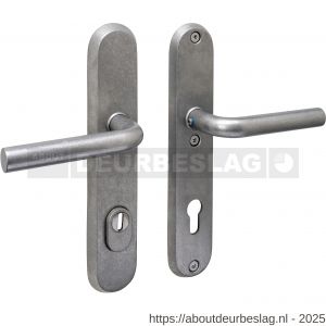 Intersteel 3787 SKG3 veiligheidsbeslag ovaal 250x50 mm kruk-kruk Luzern met veerconstructie profielcilindergat 92 mm met kerntrekbeveiliging RVS getrommeld - R26010856 - afbeelding 1