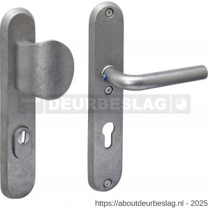 Intersteel 3788 SKG3 veiligheidsbeslag ovaal 250x50 mm greep-kruk Luzern met veerconstructie profielcilindergat 72 mm met kerntrekbeveiliging RVS getrommeld - R26010855 - afbeelding 1