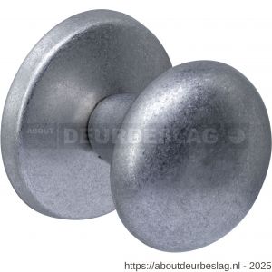 Intersteel 3930 voordeurknop paddenstoel diameter 58 mm op achterplaat diameter 66 mm éénzijdige montage RVS getrommeld - R26010853 - afbeelding 1