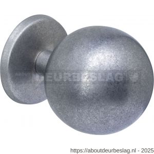 Intersteel 3930 voordeurknop bol diameter 75 mm op achterplaat diameter 66 mm éénzijdige montage RVS getrommeld - R26010851 - afbeelding 1