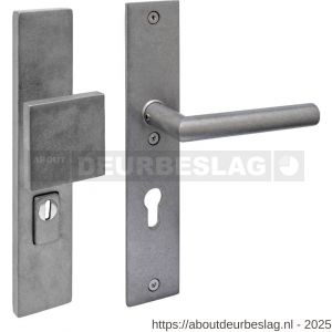 Intersteel 3962Z SKG3 veiligheidsbeslag rechthoekig 250x50 mm greep-kruk Jura profielcilindergat 72 mm met kerntrekbeveiliging RVS getrommeld - R26010850 - afbeelding 1