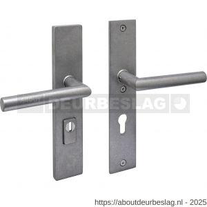 Intersteel 3964 SKG3 veiligheidsbeslag rechthoekig 250x50 mm kruk-kruk Jura met veerconstructie profielcilindergat 72 mm met kerntrekbeveiliging RVS getrommeld - R26010848 - afbeelding 1