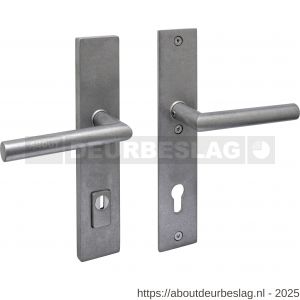Intersteel 3964 SKG3 veiligheidsbeslag rechthoekig 250x50 mm kruk-kruk Jura met veerconstructie profielcilindergat 92 mm met kerntrekbeveiliging RVS getrommeld - R26010847 - afbeelding 1