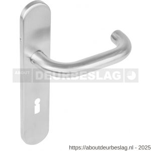Intersteel Living 1295 deurkruk Rond op schild verdekt ovaal 219x40 mm met nokken sleutelgat 72 mm RVS EN 1906/4 - R26005651 - afbeelding 1