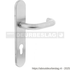 Intersteel Living 1295 deurkruk Rond op schild verdekt ovaal 219x40 mm met nokken profielcilindergat 72 mm RVS EN 1906/4 - R26005656 - afbeelding 1