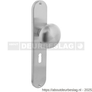 Intersteel Essentials 2695 knoplangschild ovaal 220x41 mm sleutelgat 56 mm RVS - R26003331 - afbeelding 1