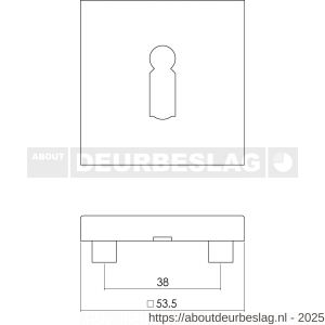 Intersteel Living 3510 sleutelrozet verdekt 53x53x8 mm met nokken RVS - R26002626 - afbeelding 2
