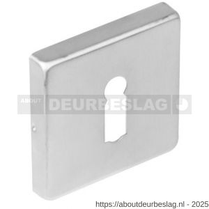 Intersteel Living 3510 sleutelrozet verdekt 53x53x8 mm met nokken RVS - R26002626 - afbeelding 1