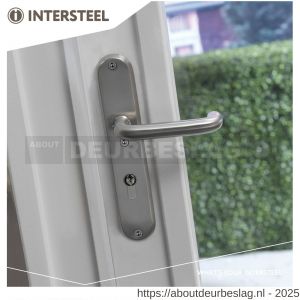 Intersteel Essentials 3785 SKG3 veiligheidsbeslag ovaal 250x50 mm kruk-kruk Rond met veerconstructie profielcilindergat 55 mm met kerntrekbeveiliging RVS - R26006872 - afbeelding 3