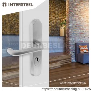 Intersteel Essentials 3785 SKG3 veiligheidsbeslag ovaal 250x50 mm kruk-kruk Rond met veerconstructie profielcilindergat 72 mm met kerntrekbeveiliging RVS - R26008592 - afbeelding 3