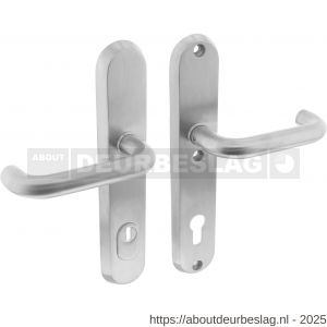 Intersteel Essentials 3785 SKG3 veiligheidsbeslag ovaal 250x50 mm kruk-kruk Rond met veerconstructie profielcilindergat 92 mm met kerntrekbeveiliging RVS - R26006874 - afbeelding 1