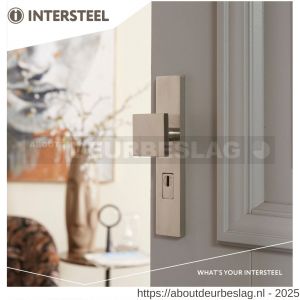 Intersteel Essentials 3962Z SKG3 veiligheidsbeslag rechthoekig 250x50 mm greep-kruk Jura profielcilindergat 72 mm met kerntrekbeveiliging RVS - R26008641 - afbeelding 2