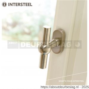 Intersteel Essentials 6156 raamkruk T-vorm RVS bol op stalen ovale rozet stift 7x35 mm RVS geborsteld - R26003699 - afbeelding 3