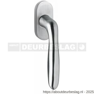 Intersteel Living 6250 raamkruk Jupiter op stalen ovale rozet stift 7x35 mm RVS - R26007072 - afbeelding 1