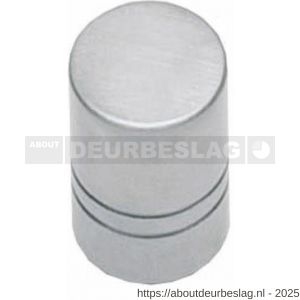 Intersteel Essentials 8510 knop recht diameter 13 mm RVS - R26007868 - afbeelding 1