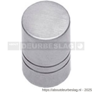 Intersteel Essentials 8510 knop recht diameter 18 mm RVS - R26007870 - afbeelding 1
