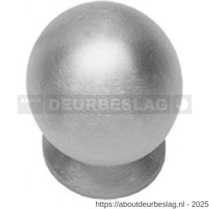 Intersteel Essentials 8510 knop bolrond achterplaat diameter 20 mm RVS - R26007872 - afbeelding 1