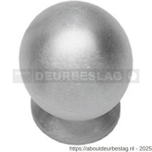 Intersteel Essentials 8510 knop bolrond achterplaat diameter 30 mm RVS - R26007882 - afbeelding 1