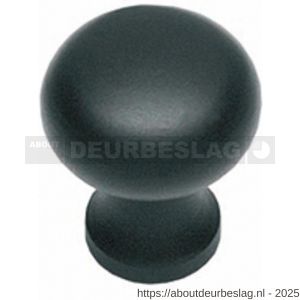 Intersteel Living 8550 knop Paddenstoel 25 mm smeedijzer zwart - R26008844 - afbeelding 1