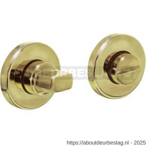 Intersteel Essentials 3224 WC-sluiting verdekt diameter 49x7 mm met stift 8x8 mm PVD messingkleur - R26002734 - afbeelding 1