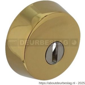 Intersteel Living 3755 SKG3 veiligheidsrozet rond diameter 59x18 mm voor oplegsloten met kerntrekbeveiliging PVD messingkleur - R26009284 - afbeelding 1