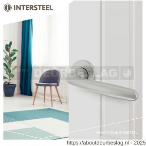 Intersteel Living 0072 deurkruk Sigaar met rozet verdekt diameter 50x7 mm met nokken aluminium F1 - R26001623 - afbeelding 3