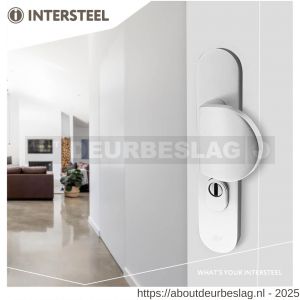 Intersteel Living 3796 SKG3 veiligheidsbeslag ovaal 250x50 mm greep-kruk Rond met veerconstructie profielcilindergat 72 mm met kerntrekbeveiliging aluminium F1 - R26008847 - afbeelding 3