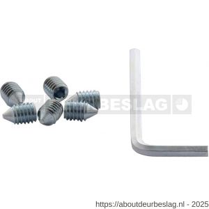 Intersteel 9904 accessoireset A 6 inbusboutjes M6x9 mm conisch en inbussleutel - R26010073 - afbeelding 1