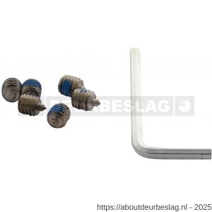Intersteel 9904 accessoireset B 6 inbusboutjes M6x6 mm met punt en inbussleutel - R26010074 - afbeelding 1