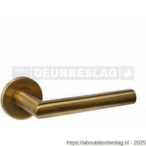 Intersteel Essentials 1021 deurkruk Q 01 op rozet verdekt diameter 52x6 mm PVD messing mat - R26010950 - afbeelding 1