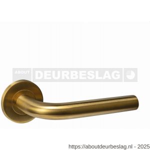 Intersteel Essentials 1022 deurkruk Q 02 op rozet verdekt diameter 52x6 mm PVD messing mat - R26010955 - afbeelding 1