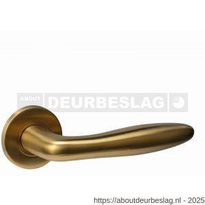 Intersteel Essentials 1023 deurkruk Q 03 op rozet verdekt diameter 52x6 mm PVD messing mat - R26010960 - afbeelding 1