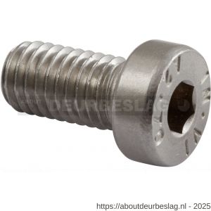 Hermeta 5990 inbus bout M8x16 mm DIN 7984 RVS - R20100000 - afbeelding 1