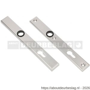 Ami VHB 251/32 veiligheidssmalschild SKG** VHB 251/32 buiten en binnen profielcilinder PC 55 F1 deurdikte 53-57 mm - R10901556 - afbeelding 1