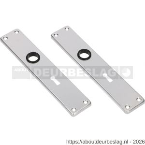 Ami 212/41 RH langschild aluminium rondhoek sleutelgat SLG 56 F1 - R10900629 - afbeelding 1