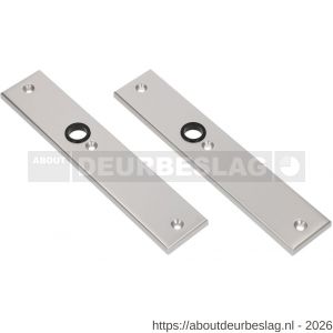 Ami 251/50/8 langschild aluminium blind F1 R6,5/R7,3 - R10900681 - afbeelding 1