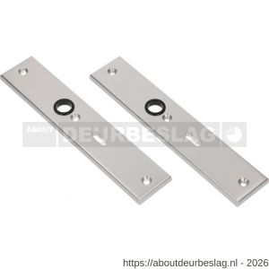 Ami 251/50/8 langschild aluminium sleutelgat SLG 56 F1 R6,5/R7,3 - R10900682 - afbeelding 1