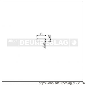 Ami deurbeslag patentbouthuls messing vernikkeld M6x21 mm zonder zaagsnede set 10 stuks - R10900200 - afbeelding 2