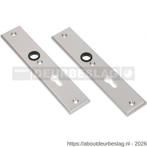 Ami 251/50/8 langschild aluminium profielcilinder PC 55 F1 R6,5/R7,3 - R10900683 - afbeelding 1