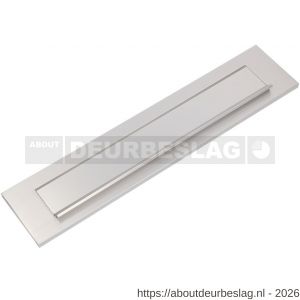 Ami DL briefplaat met veer aluminium F2 deurdikte 53-57 mm - R10900051 - afbeelding 1