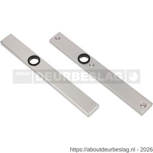 Ami 245/30 smalschild aluminium blind 1/2 M5 F1 - R10900783 - afbeelding 1