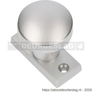 Ami 65/30-169/50 smalrozet knop combinatie knop 169/50 vast 65/30 R6.5 hartafstand 43 mm F1 - R10900418 - afbeelding 1