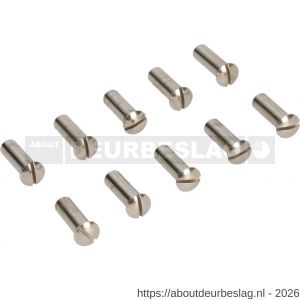 Ami deurbeslag patentbouthuls messing vernikkeld M5x21 mm zaagsnede set 10 stuks - R10900199 - afbeelding 1