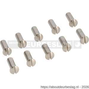 Ami deurbeslag patentbouthuls messing vernikkeld M6x21 mm zaagsnede set 10 stuks - R10900201 - afbeelding 1