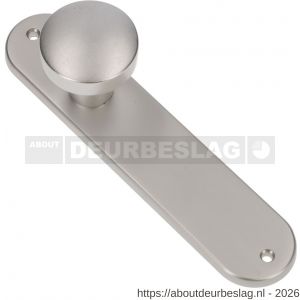 Ami 200/1/7 knoplangschild aluminium knop 169/50 vast langschild 200/1/7 blind F1 - R10900743 - afbeelding 1