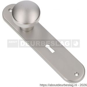 Ami 200/1/7 knoplangschild aluminium knop 169/50 vast langschild 200/1/7 sleutelgat SLG 56 F1 - R10900744 - afbeelding 1