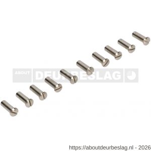 Ami deurbeslag patentbouthuls messing vernikkeld M4x22.5 mm zaagsnede set 10 stuks - R10900196 - afbeelding 1